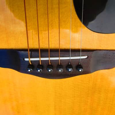 Ibanez Champion C300 Dreadnought Guitar, 1979, Japan, Gig Bag image 6