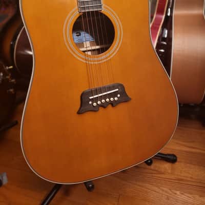 Epiphone   Excellente FT 120 Acoustic Electric Guitar image 4