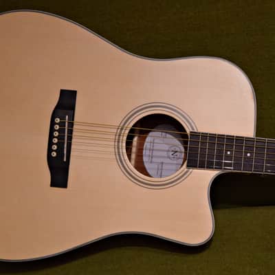 Nashville Guitar Works D10CE 2023 - Natural image 2