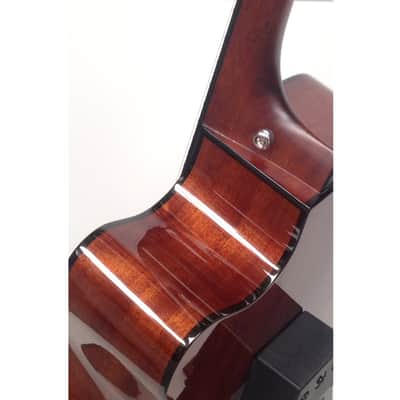 Alvarez RD-4102C Guitarra electroacústica image 2