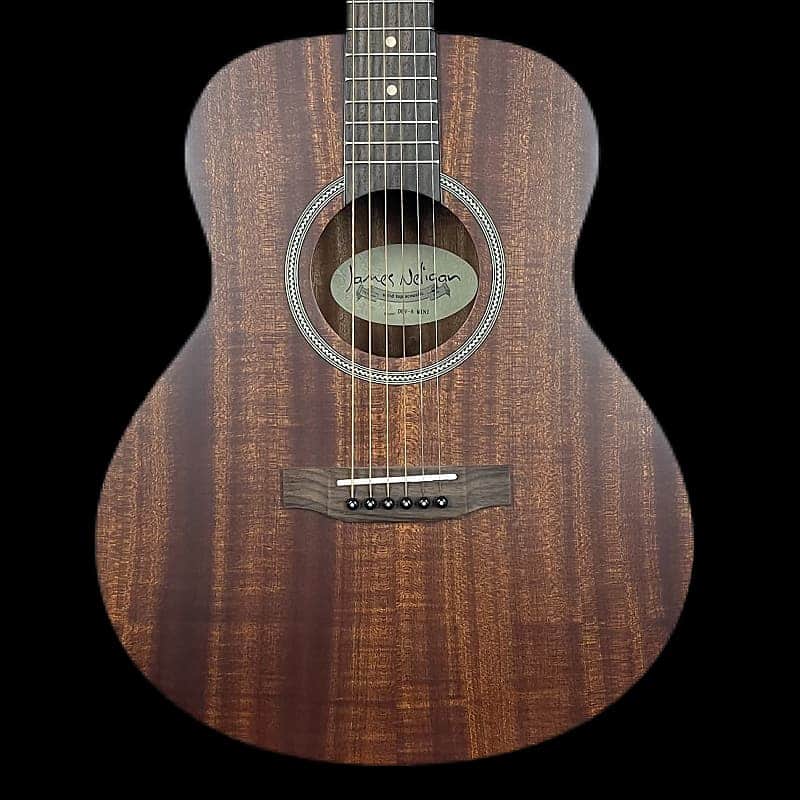 James Neligan DEV-A-MINI Deveron Mini Auditorium Acoustic Travel Guitar image 1