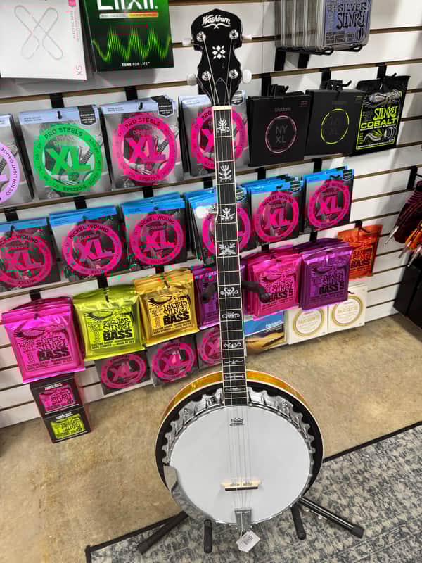 Washburn Americana B10 5-string Resonator Banjo | Reverb