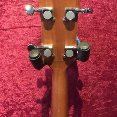 Ozark 3372 Tenor Acoustic Guitar inc hard case image 4