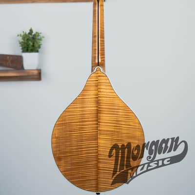 Bourgeois M5A Aged Tone Mandolin Bild 5