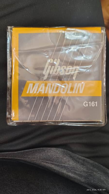 Gibson G161 Mandolin strings image 1