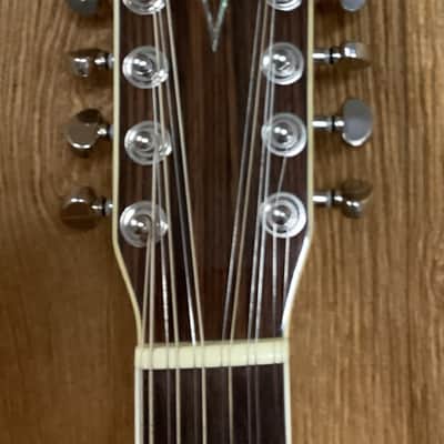Alvarez 12 String image 5