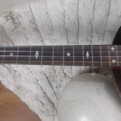 1930s Stromberg-Voisinet 17-Fret Tenor Banjo with Resonator and Gig Bag image 16