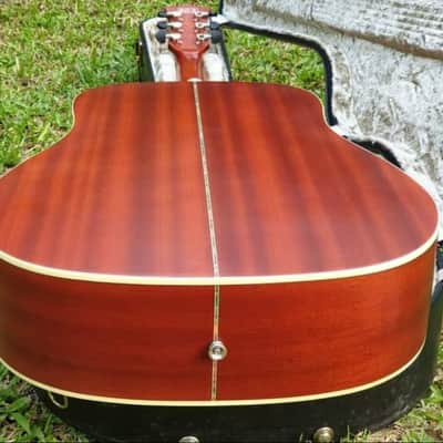 Elioth B305NS、 Elioth、Revolution Revolution Reverb | (Dreadnought) Top Spruce Solid NS B-305 ギター