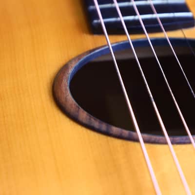 Schertler SM Acoustic Guitar – A Rare Gem in Electro-Acoustic Innovation - check video! image 14