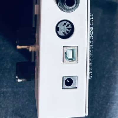 Two Notes Torpedo C.A.B. Speaker Simulator Pedal 2010s - White/Black image 3