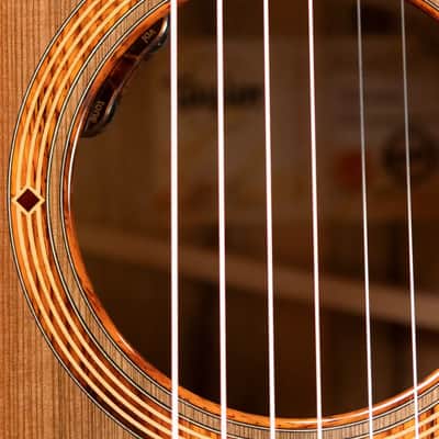 Taylor Custom "The Monument" 1 of 20 C12e 12-Fret Catch Event #10 Grand Concert Acoustic/Electric Guitar - Black Limba/Sinker Cypress with Hardshell Case image 16