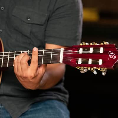 Ortega R131SN-WR Family Series Pro Solid Cedar Top Mahogany Neck Nylon 6-String Classical Acoustic Guitar w/Gig Bag image 19