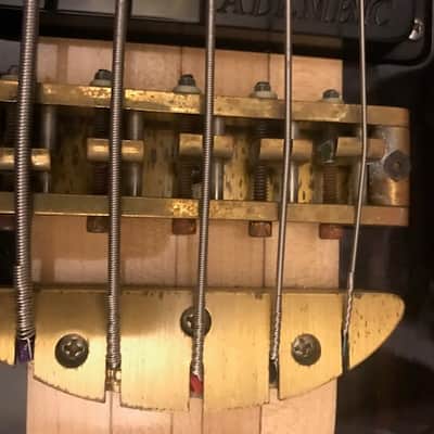 Immagine Alembic Essence 5 string - 3