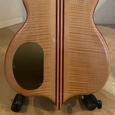 Alembic Mark King Signature 5-String image 2