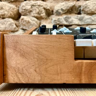 serviced Moog Prodigy MK1 Monophonic Analog Synthesizer / CV GATE 230v image 11