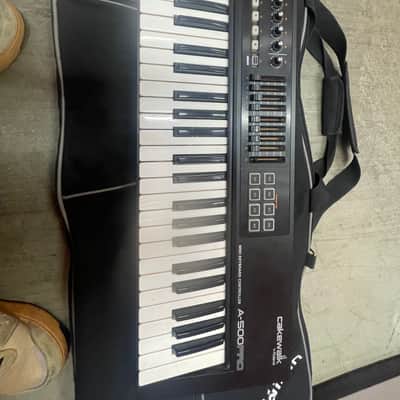 Roland A-500PRO 49-Key MIDI Keyboard Controller | Reverb