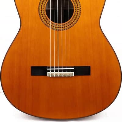 Yamaha GC22C Classical Guitar, Solid Cedar Top, Natural image 2