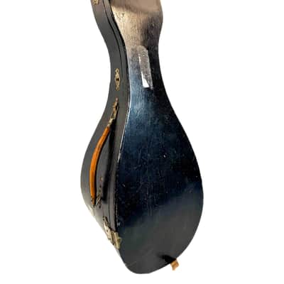 Mandoline de Concert Luigi Tamagno de 1904 image 18