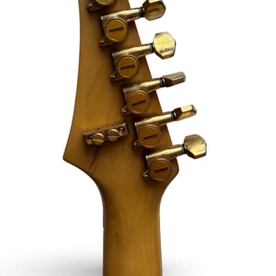 Washburn Mercury Series image 10