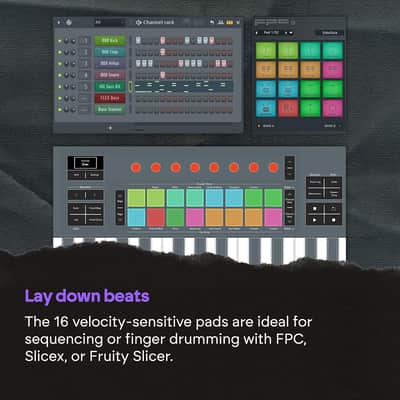 Novation FLkey 2 Mini 25 — 25-Mini-Key MIDI Controller Keyboard for FL Studio Beginners. Make Beats with USB, Pitch & Mod Strips, 16 Drum Pads, and Arpeggiator — Inc. 6 Months of FL Studio image 6