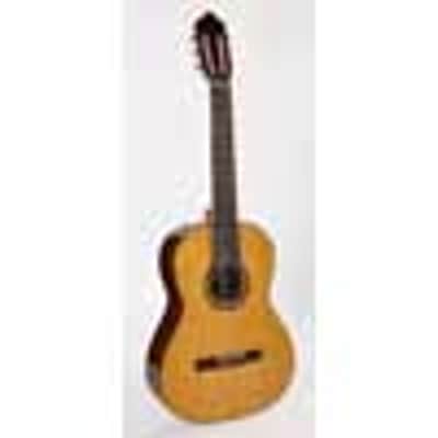 Esteve Classic Series 4STE-SP classic guitar image 2