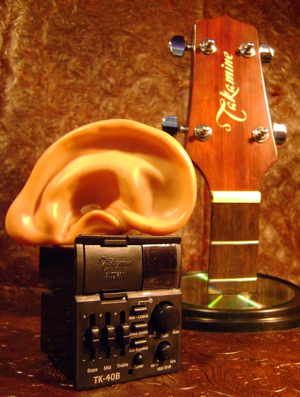 Takamine TK-40B BASS G Series Acoustic BASS Guitar preamp NEW image 1