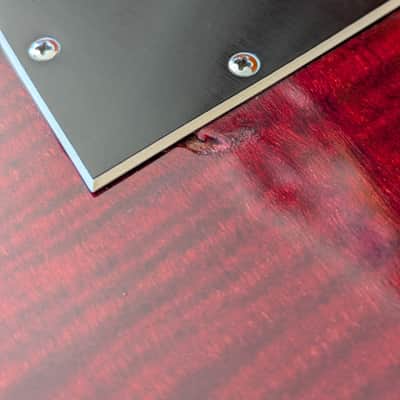 Ovation 1223-2 Typhoon III 1968/69 - Wine Red Fretless image 11