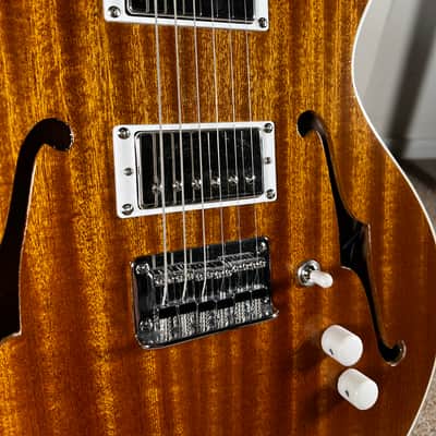 Catalyst Ember Semi-Hollow Electric Guitar - Sapele - Gloss Nitro image 9
