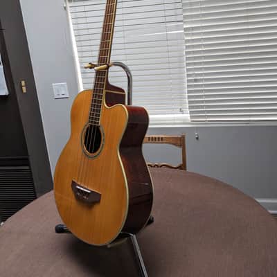 Michael Kelly Acoustic/Electric Bass Guitar image 4