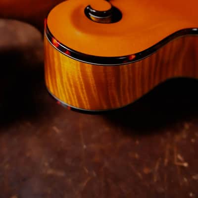 Gold Tone Grandmaster Mandolin Elite - Honey Amber Finish #5627 image 11