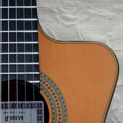 Esteve Alegria crossover cutaway / lattice braced / cedar top image 1