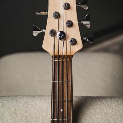 Fodera Emperor 5 Standard Classic-Vintage Sunburst (Optional Color) w/Indian Rosewood FB, Tortoise PG image 5