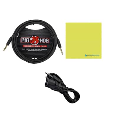Fender Acoustic Guitar Amplifier 100-watt, Natural Blonde, 2314000000 Bundle w/ Pig Hog PCH10BK Black Woven Instrument Cable, Power Cable and Liquid Audio Polishing Cloth image 7