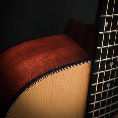 Eastman E1 D image 6