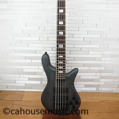 Immagine Spector Euro 5 LX - Trans Black Stain Matte - 14