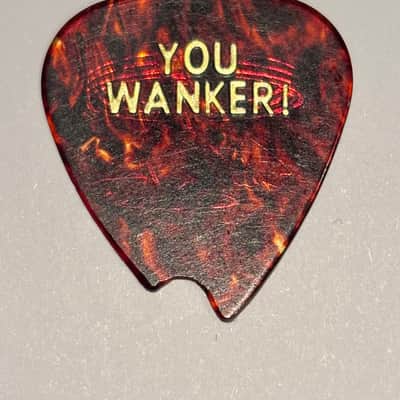 Eddie Van Halen EVH Tortoise Guitar Pick – “YOU WANKER!” Gold Foil (Early 1990s) image 2