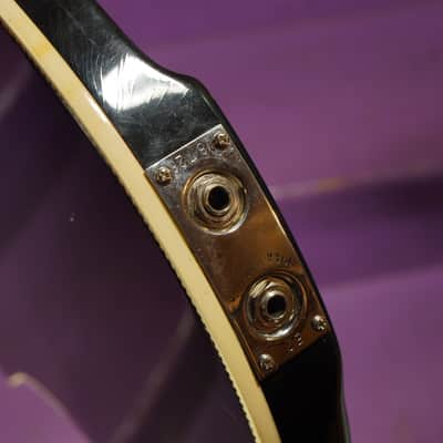 1989 Rickenbacker 370/12RM Roger McGuinn Semihollow Electric 12-String Guitar (VIDEO! Fresh Work, Ready to Go, w/Pedal) image 22