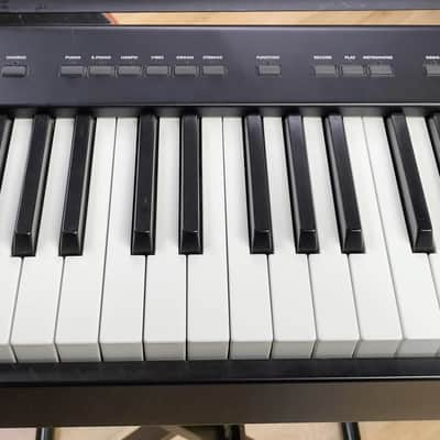 Korg Sp-100 Digital Piano 88 Keys image 4