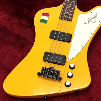 Gibson Thunderbird Refinish 4.25kg #121620649 image 6