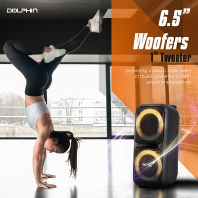 Dolphin SP-2080RBT Dual 8-Inch High Power Portable Bluetooth, Wireless Microphone, Deep Bass, LED Lights, USB/SD Card, Rechargeable Battery - Ideal for DJ, Outdoor & Indoor Events image 2
