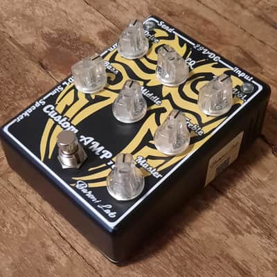Baroni-Lab Custom Hand-Made Italian 100w Guitar Amp image 10