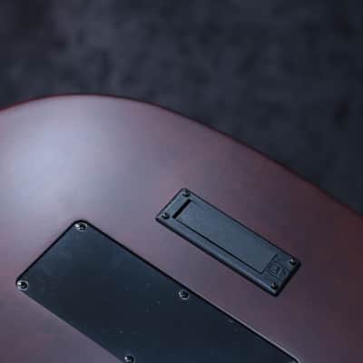 Godin Multiac Nylon Encore Spruce Lightburst SG Prototype "B-Stock" Electro-Classical Guitar w/Bag image 17
