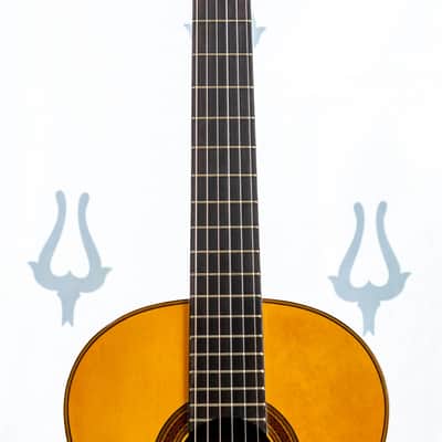 K. Teradaira 303P (Prime) - Yamaki Gakki - Niiburi Guitar 1982/1983 image 3