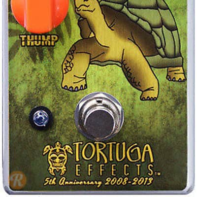 Tortuga Galapagos