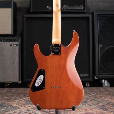 Schecter Omen Extreme-II Electric Guitar - Gold Rush image 8