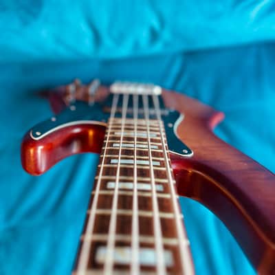 Overwater Custom J Series 5 String Bass image 2
