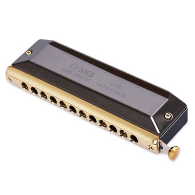 Chromatic Harmonica C Key 12 Hole 48 Tone Harp Harmonica French Harp Mouth Organ image 4