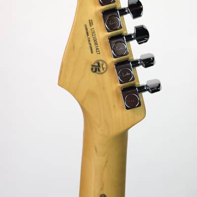Fender American Professional II Stratocaster RW Olympic White image 5