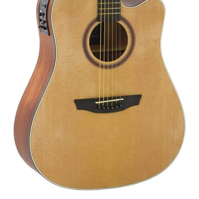 Strinberg SD200C Dreadnought Acoustic-Electric Steel-String Guitar + Gigbag - Natural Satin image 1