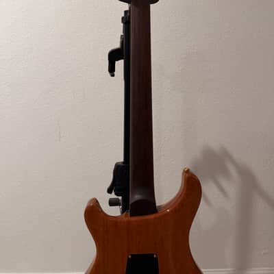 PRS Custom 24 Wood Library image 12